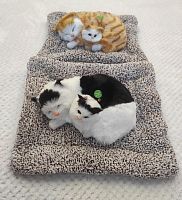 "Кошка с котенком" во Белом